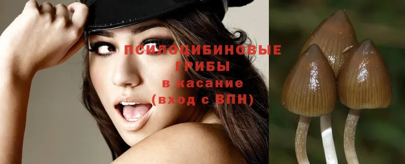 наркотики  Александровское  Галлюциногенные грибы ЛСД 
