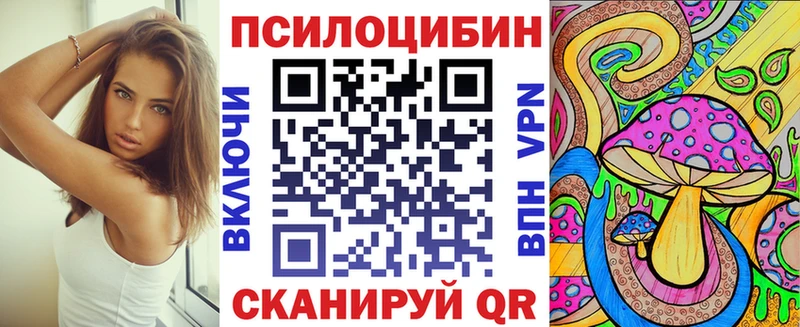 Псилоцибиновые грибы мицелий  блэк спрут как войти  Александровское 