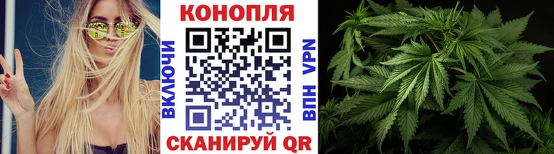 Каннабис Bruce Banner  Александровское 